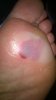 WP_20160910_004.jpg