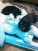 WP_20160916_002.jpg