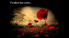poppies2.jpg