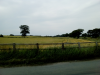 upload_2019-6-23_16-57-27.png upload_2019-6-23_16-57-27.png