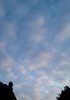20191116_080259.jpg