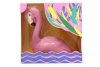 0_flamingo.jpg