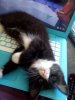 MOLLY WORK.jpg