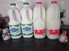 milk.jpg