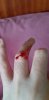 20200919_112546.jpg