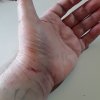 bruse.jpg