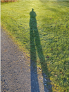 1608806847032.png