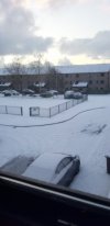 20210208_080339.jpg