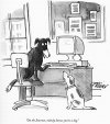 Cartoon - on the internet, nobody knows you are a dog