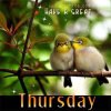 shareThursday264.jpg