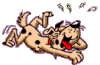 6312BEB4-294E-4BA0-82B5-79822AACA789.gif