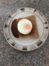 Poached egg on toast.JPG