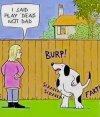 blonde&dog.jpg