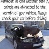 car.jpg