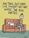 dog.png