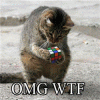 image02930.gif