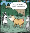dog2.jpg