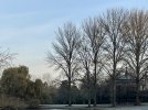 9CBB7818-3736-4BC9-B6F2-C66FE58B9BC7.jpeg