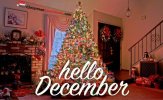 FB_IMG_1638350218889.jpg