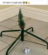 xmastree.jpg