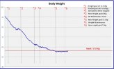 Overall Weight Graph 2.jpg Overall Weight Graph 2.jpg