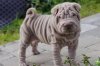 upload_2017-2-3_11-4-41.jpeg