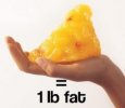 fat.jpg