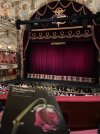 IMG_0385.jpeg IMG_0385.jpeg