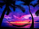 HD-wallpaper-hammock-at-sunset-glow-shore-dusk-beautiful-sunset-twilight-hammock-clouds-sea-be...jpg