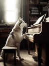 dog-playing-piano-with-dog-it_635062-288.jpg