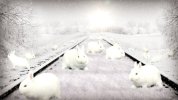 snow rabbits.jpg