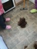 20170613_202433.jpg