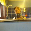 20170614_075323.jpg