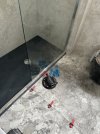 IMG_0033.jpeg