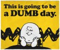 Peanuts-Charlie-Brown-This-Is-Going-To-Be-A-Dumb-Day-Throw-Blanket-Wall-Scroll_f91b0c1c-b4ba-...jpeg