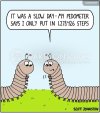 animals-millipede-insect-steps-fitness-counting_steps-CX923787_low.jpg