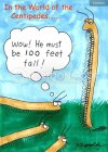 animals-tall-height-sizes-foot-centipedes-dre1286_low.jpg