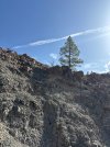 IMG_2016.jpeg