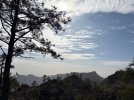 IMG_2029.jpeg