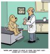 animals-vet-veterinarian-veterinary_surgeon-pup-puppies-dhgn1809_low.jpg