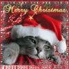 1dc1f77ffbcc08c83cf4b313c27dbb21.gif