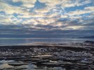 20241229_092315.jpg