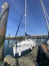 IMG_5544.jpeg