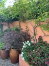 IMG_0397.jpeg