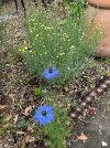 IMG_0398.jpeg