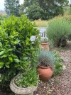IMG_0400.jpeg