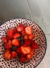 IMG_4049.jpeg