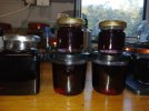 20250703_200618.jpg