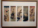 IMG_3450.jpeg
