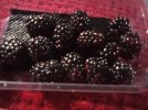 IMG_20250630_150512_027 M32 9LR Mutant Blackberries.jpg